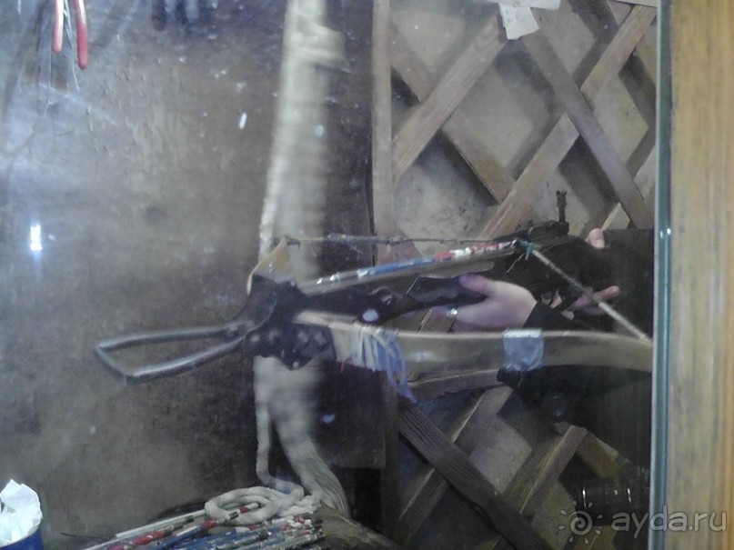 Прага - черный лебедь над Влтавой