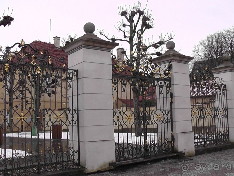 Прага - черный лебедь над Влтавой