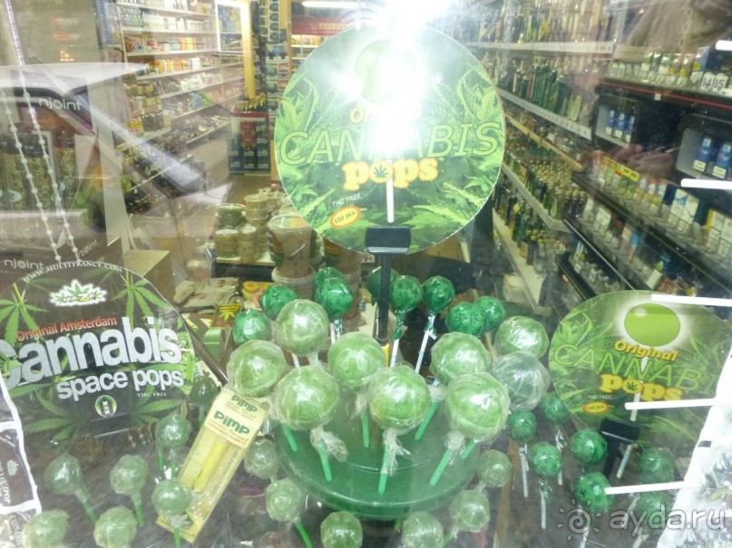 Прага - черный лебедь над Влтавой