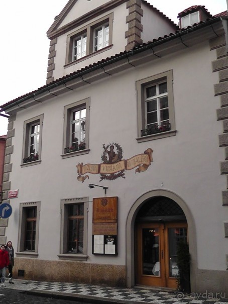 Прага - черный лебедь над Влтавой