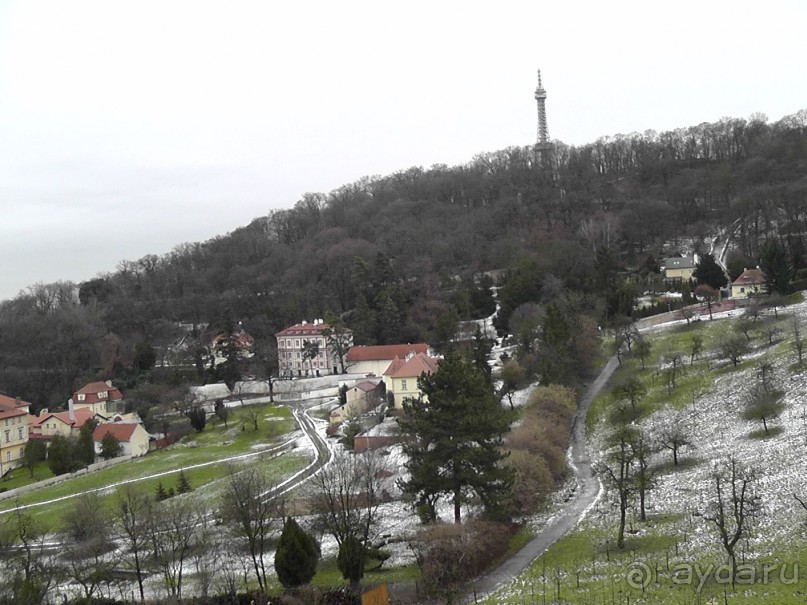 Прага - черный лебедь над Влтавой