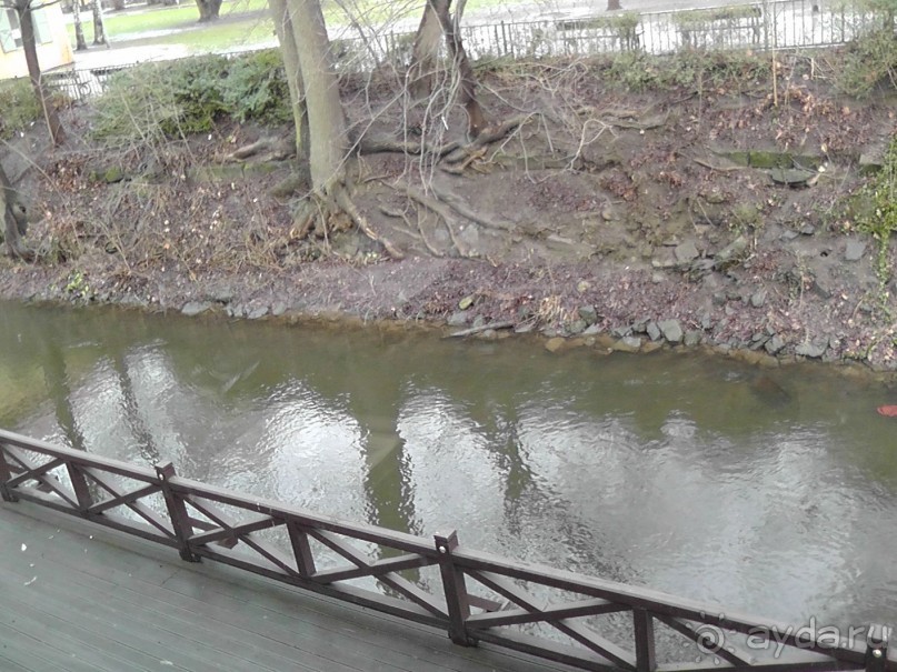 Прага - черный лебедь над Влтавой