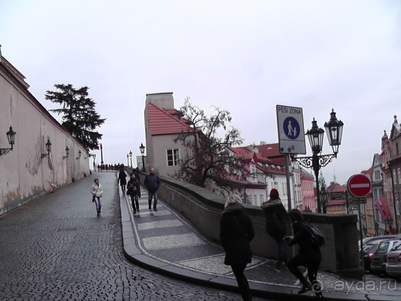 Прага - черный лебедь над Влтавой