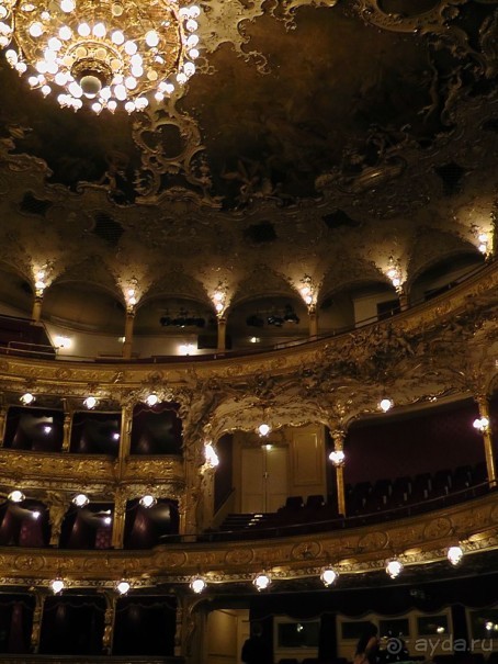 Прага - черный лебедь над Влтавой