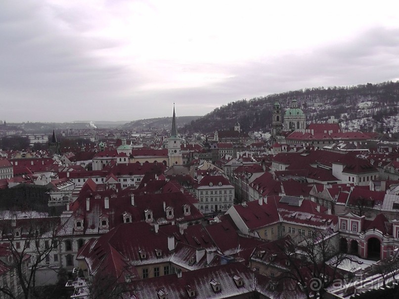 Прага - черный лебедь над Влтавой