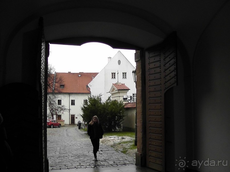 Прага - черный лебедь над Влтавой