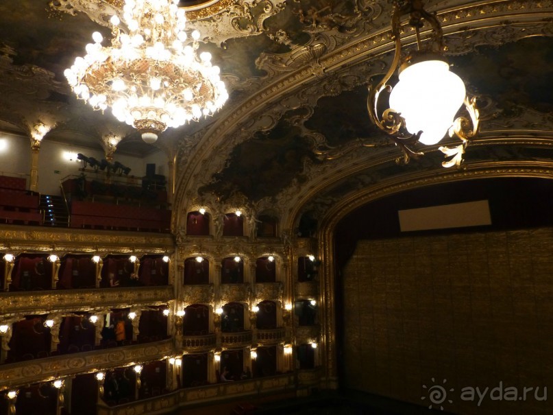 Прага - черный лебедь над Влтавой