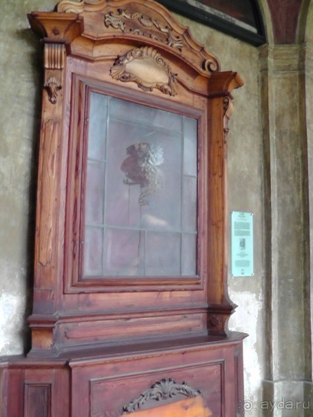 Прага - черный лебедь над Влтавой