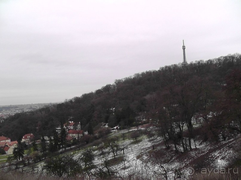 Прага - черный лебедь над Влтавой