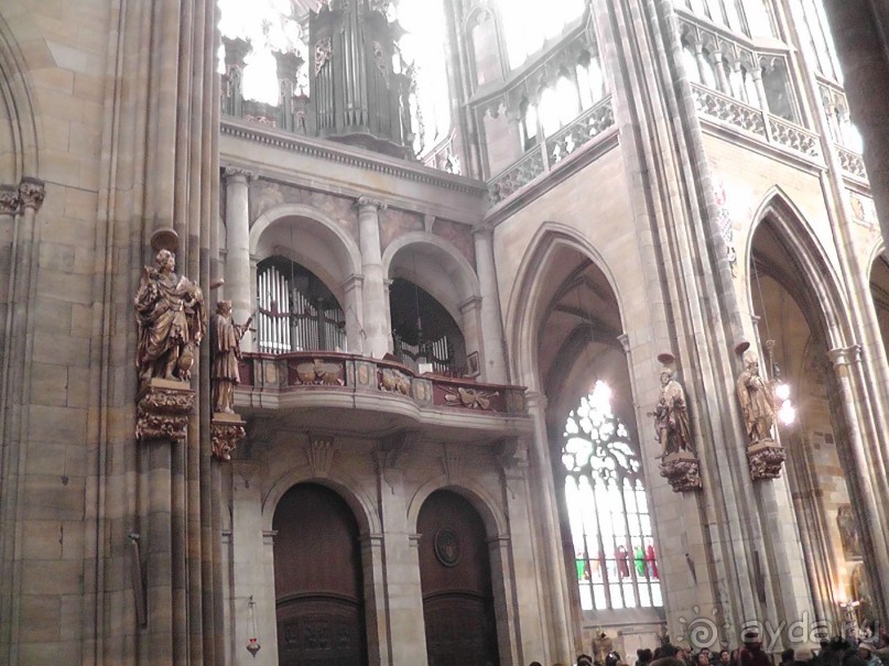 Прага - черный лебедь над Влтавой