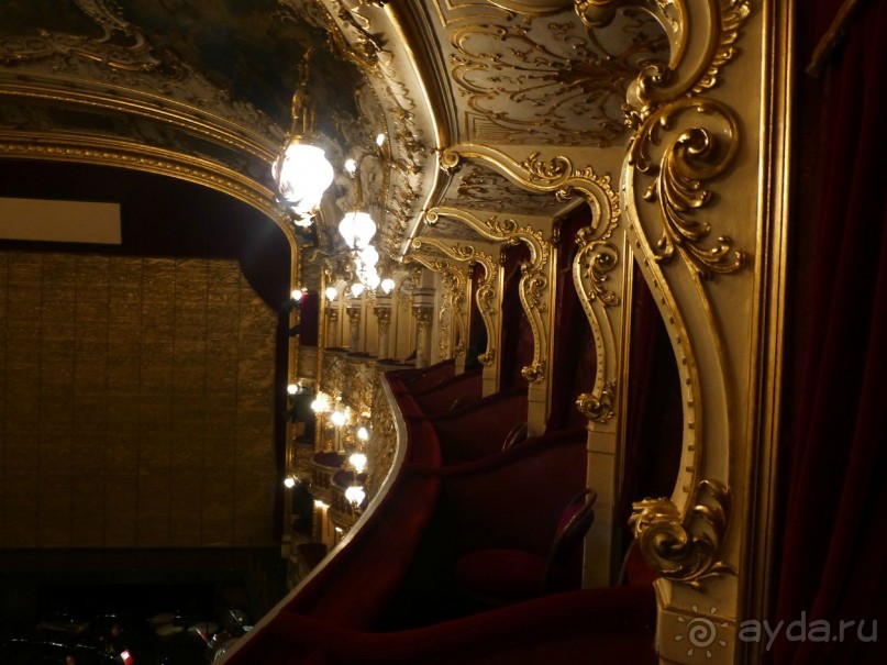 Прага - черный лебедь над Влтавой