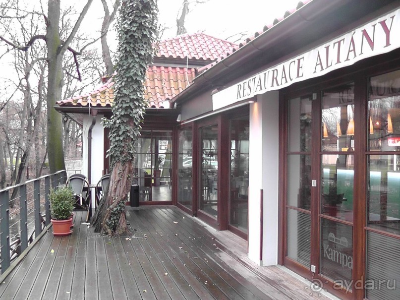 Прага - черный лебедь над Влтавой