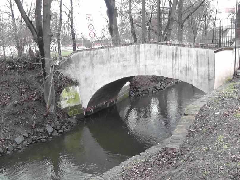 Прага - черный лебедь над Влтавой