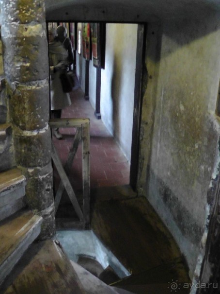 Прага - черный лебедь над Влтавой