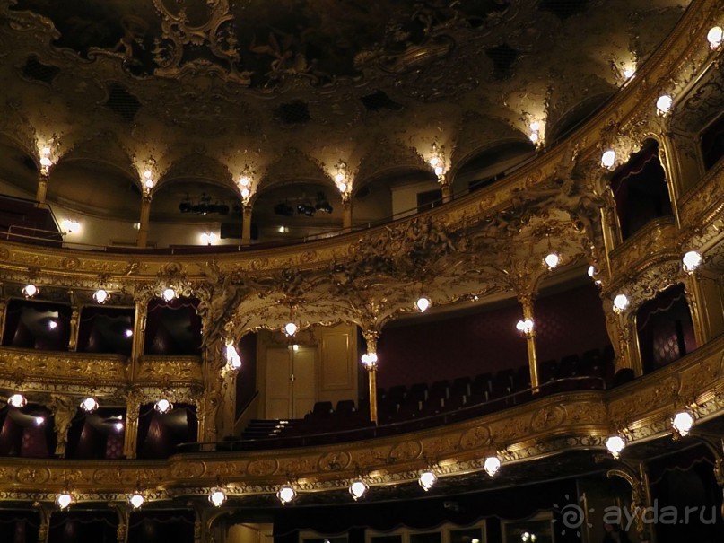 Прага - черный лебедь над Влтавой