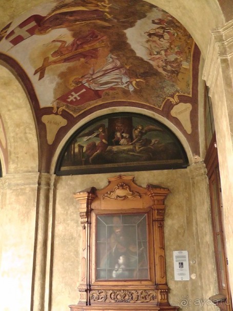 Прага - черный лебедь над Влтавой