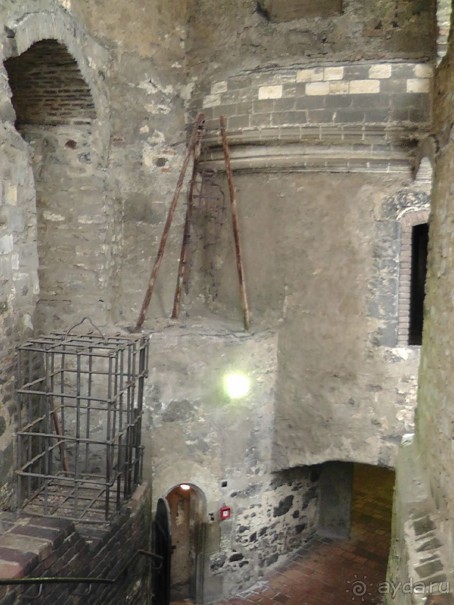 Прага - черный лебедь над Влтавой