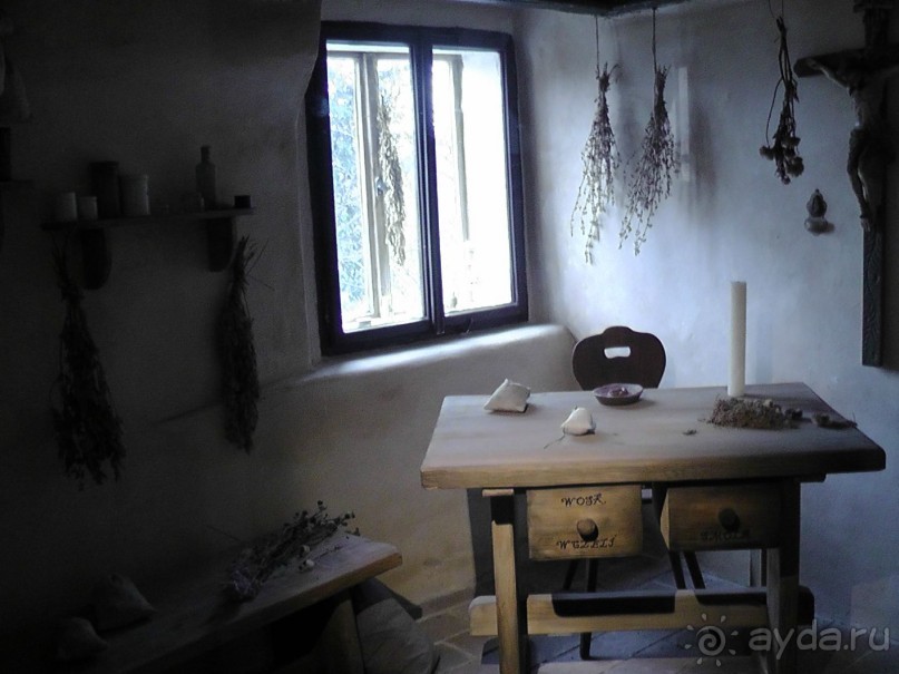 Прага - черный лебедь над Влтавой