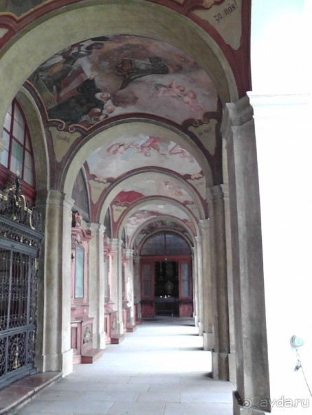 Прага - черный лебедь над Влтавой