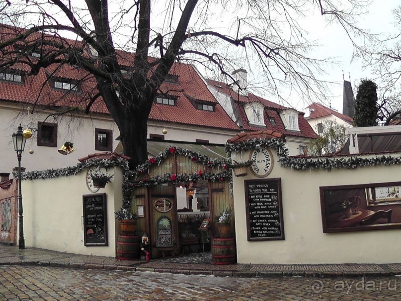 Прага - черный лебедь над Влтавой