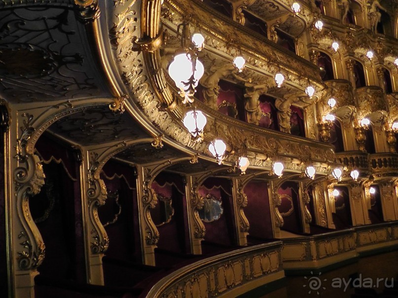 Прага - черный лебедь над Влтавой