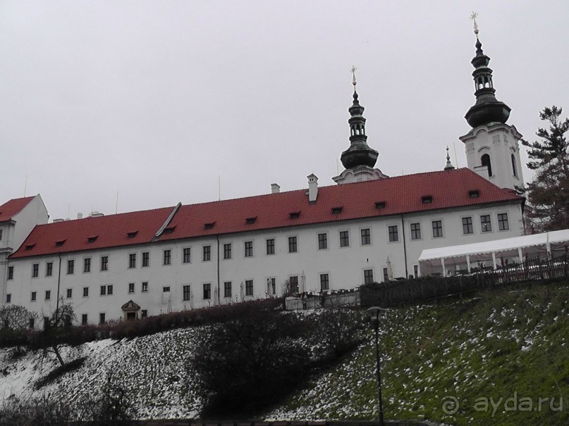 Прага - черный лебедь над Влтавой