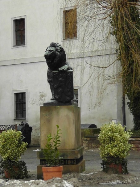 Прага - черный лебедь над Влтавой