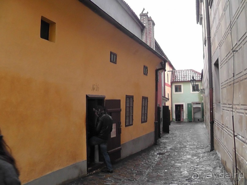 Прага - черный лебедь над Влтавой