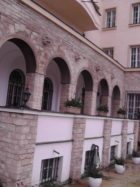 Прага - черный лебедь над Влтавой