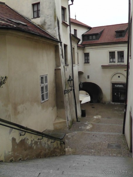 Прага - черный лебедь над Влтавой