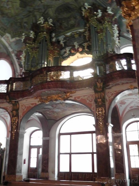 Прага - черный лебедь над Влтавой