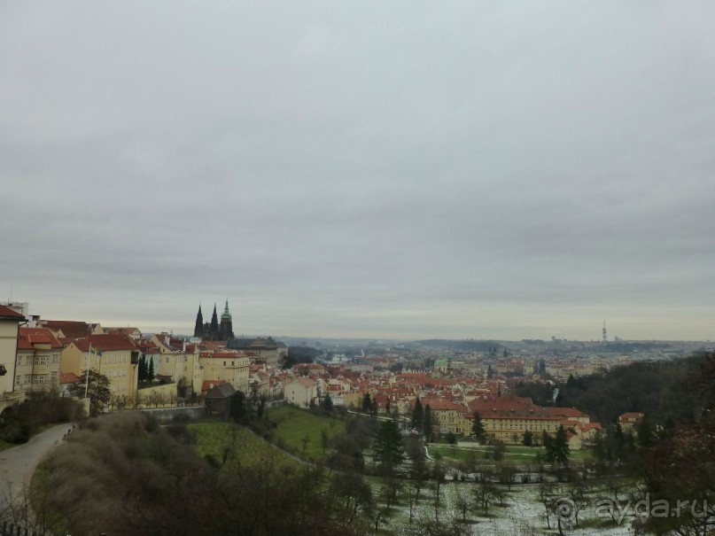 Прага - черный лебедь над Влтавой