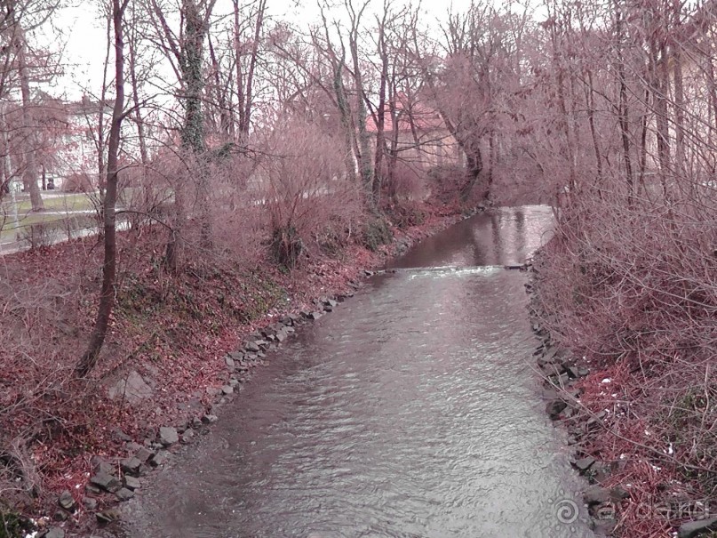 Прага - черный лебедь над Влтавой