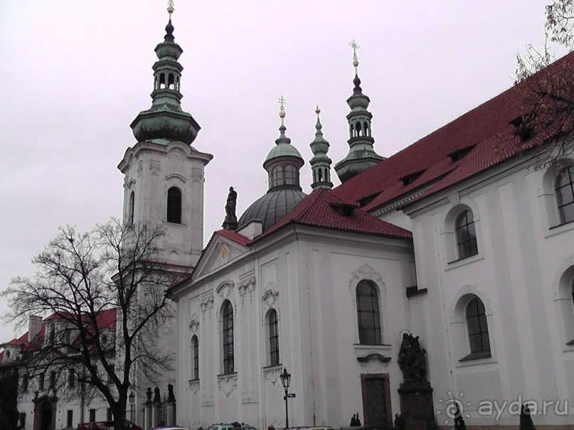 Прага - черный лебедь над Влтавой