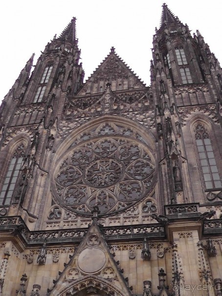 Прага - черный лебедь над Влтавой