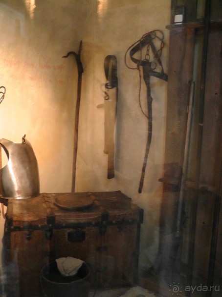 Прага - черный лебедь над Влтавой