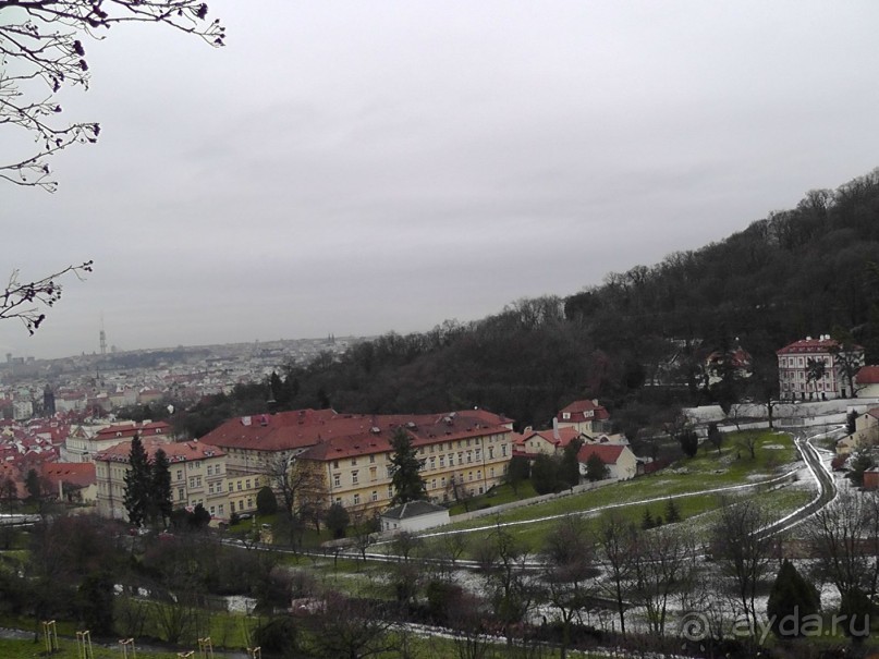 Прага - черный лебедь над Влтавой