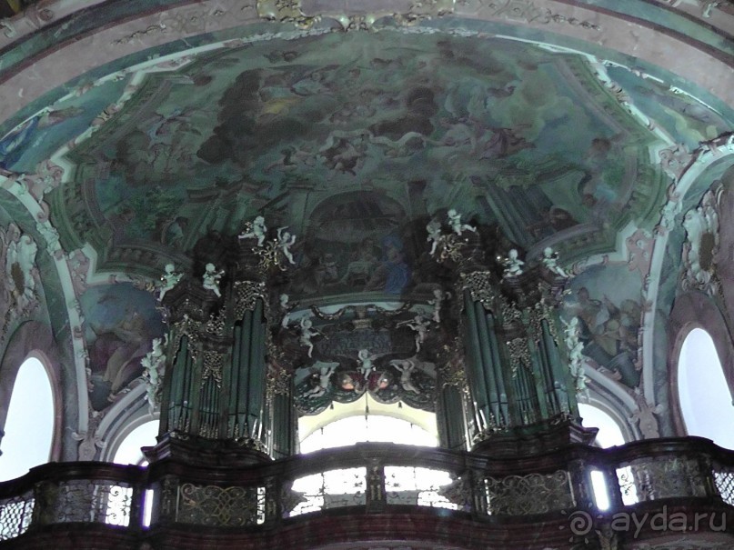 Прага - черный лебедь над Влтавой