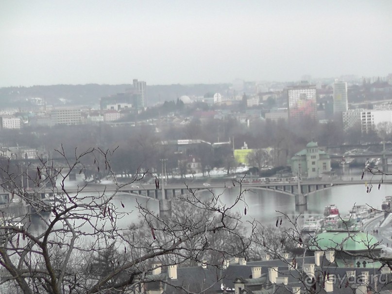 Прага - черный лебедь над Влтавой