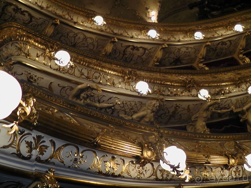 Прага - черный лебедь над Влтавой