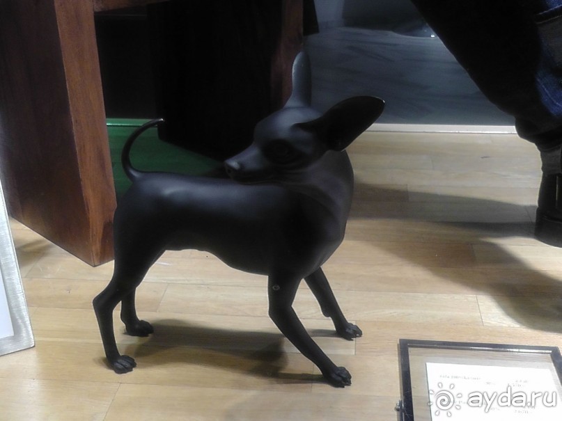 Прага - черный лебедь над Влтавой