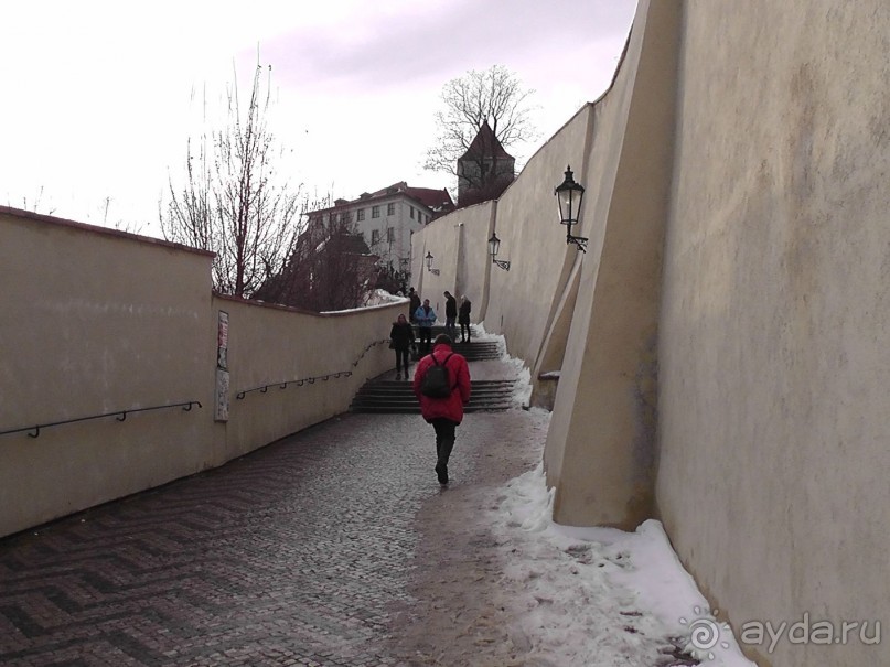 Прага - черный лебедь над Влтавой