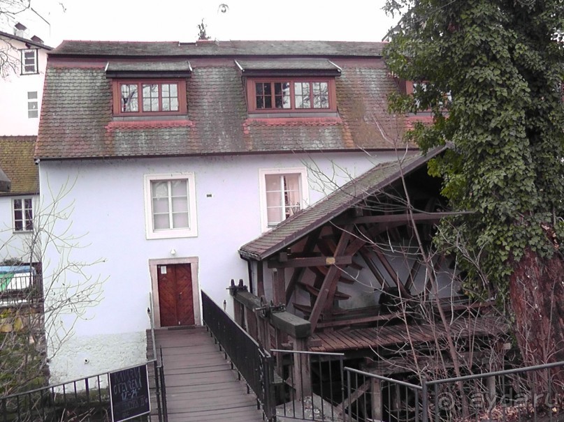 Прага - черный лебедь над Влтавой