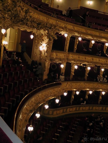 Прага - черный лебедь над Влтавой