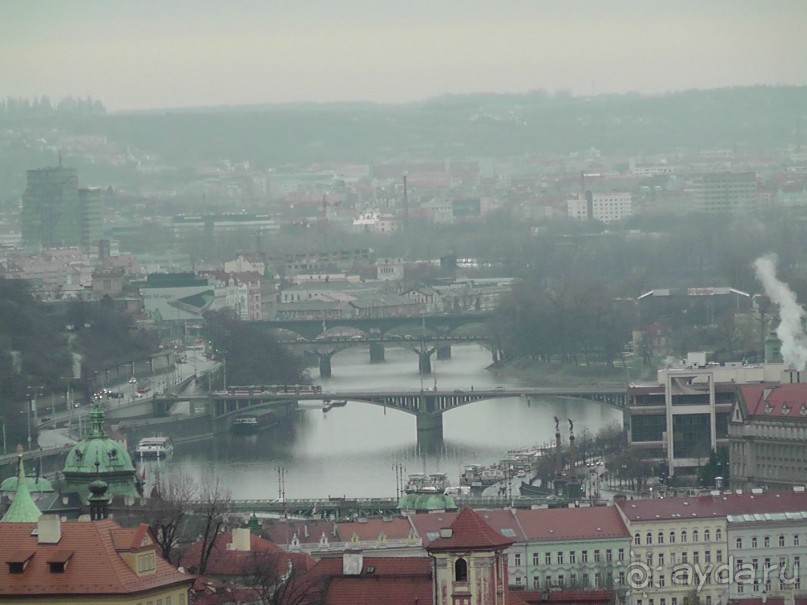 Прага - черный лебедь над Влтавой