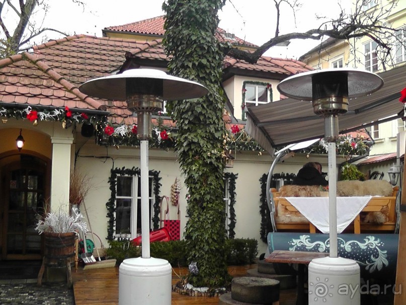 Прага - черный лебедь над Влтавой