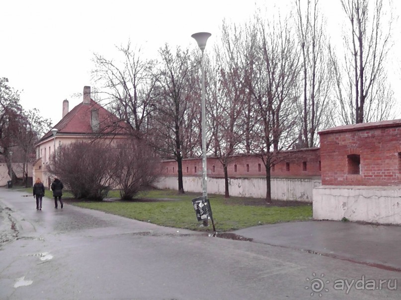 Прага - черный лебедь над Влтавой