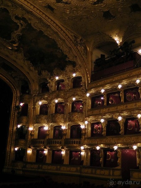 Прага - черный лебедь над Влтавой