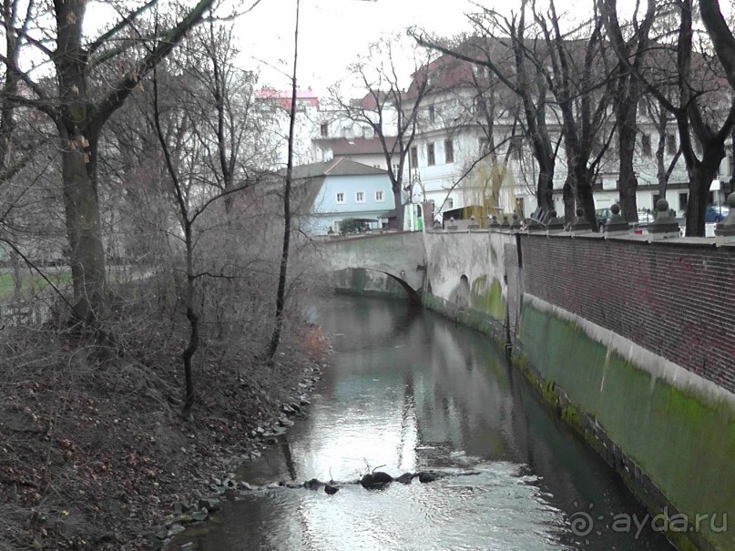 Прага - черный лебедь над Влтавой
