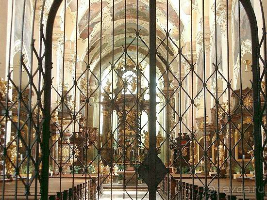 Прага - черный лебедь над Влтавой